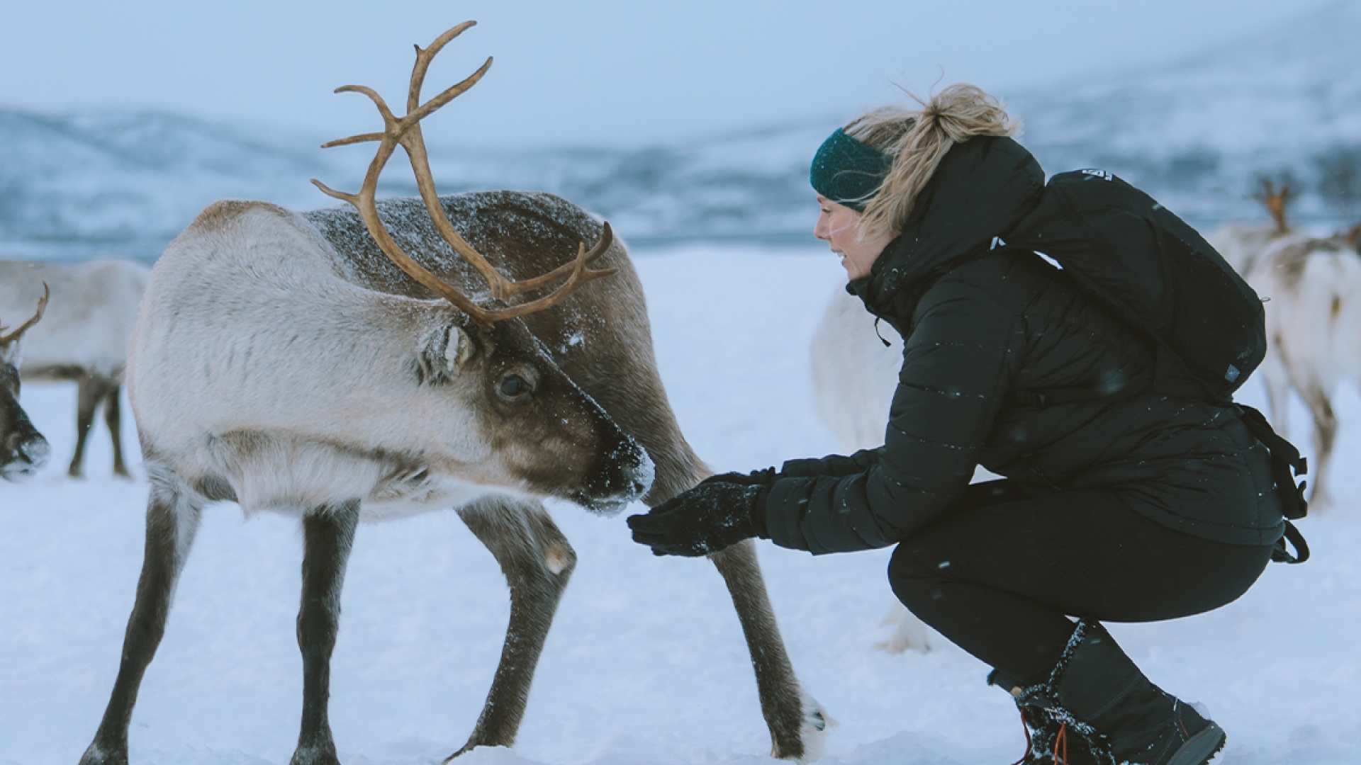 Experience the sami culture and history | Visit Tromso